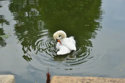 DSC_3335 (Large).JPG